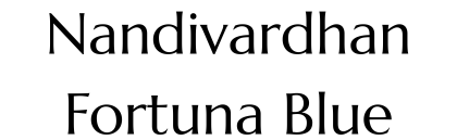 Nandivardhan Fortuna Blue Lower Parel Logo